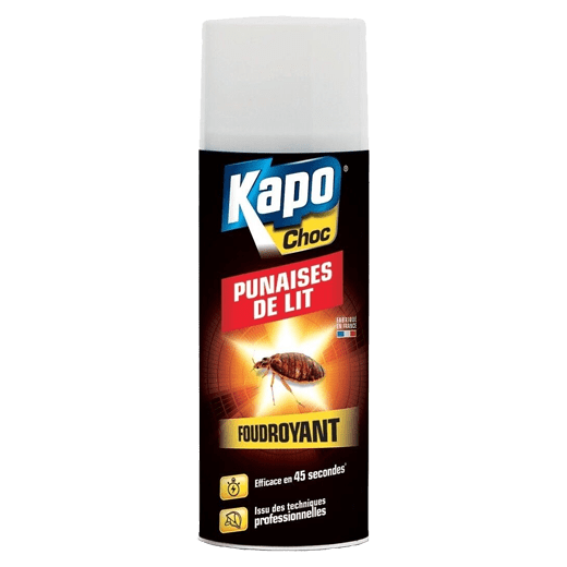 Insecticide Punaise de lit 400ml